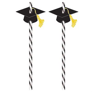 12 pailles blanche & noir avec chapeau de Graduation