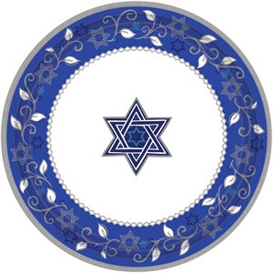 Happy Hanukkah plates 10.5in 8pcs