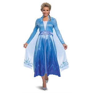 Adult deluxe Frozen 2 Elsa costume Large (12-14)