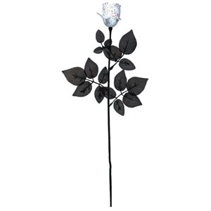 Bloody white rose with black stem & leaves