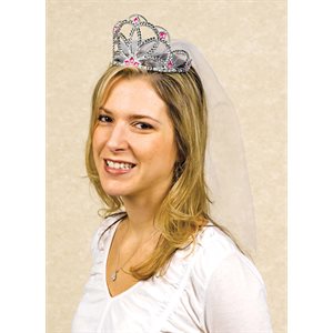 Elegant Bride tiara with veil