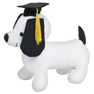 Graduation fabric puppy for autographs