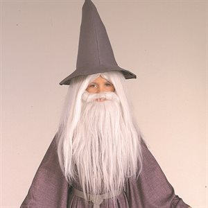 Children Lord of the Rings Gandalf wig & beard