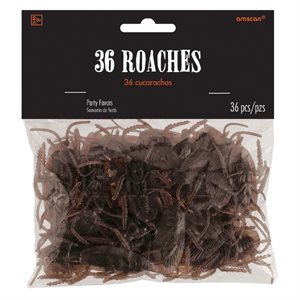 Brown cockroaches 36pcs