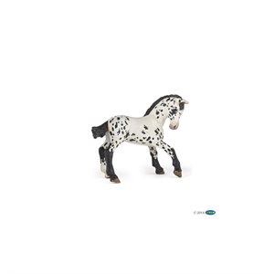 Papo black appaloosa foal figurine 10x5x8cm